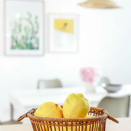 Alfama, Bright And Spacious With Private Terrace, By Timecooler * Lisbona