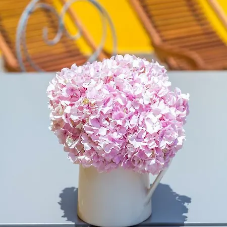 Appartamento Alfama, Bright And Spacious With Private Terrace, By Timecooler